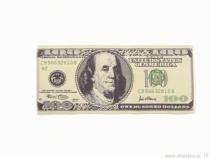 Nášivka - 100 DOLLARS Nášivka - 100 DOLLARS